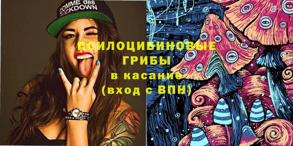 гидра Абаза