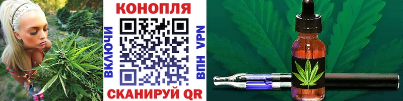 Шишки марихуана сатива  где продают наркотики  Трубчевск 